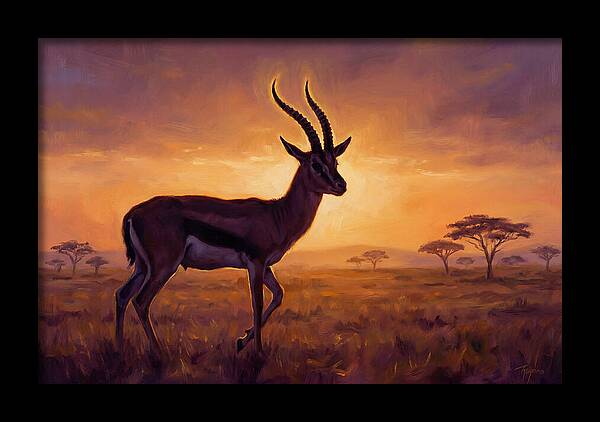 Thomson Gazelle At Sunset