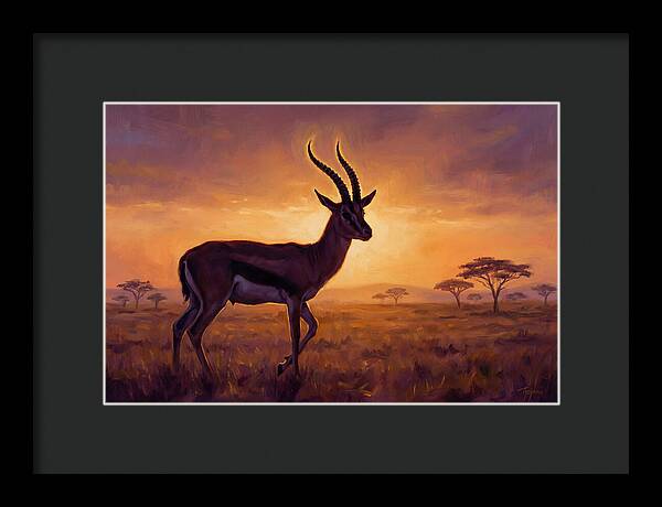 Thomson Gazelle At Sunset