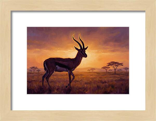 Thomson Gazelle At Sunset