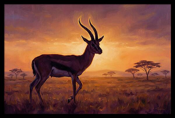 Thomson Gazelle At Sunset
