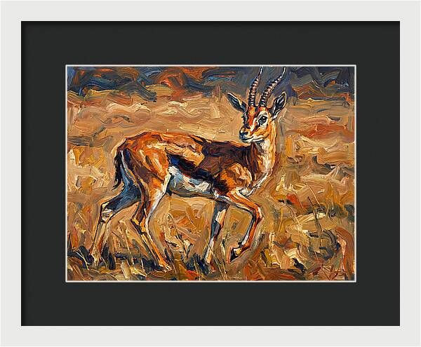 Thomson Gazelle In Motion