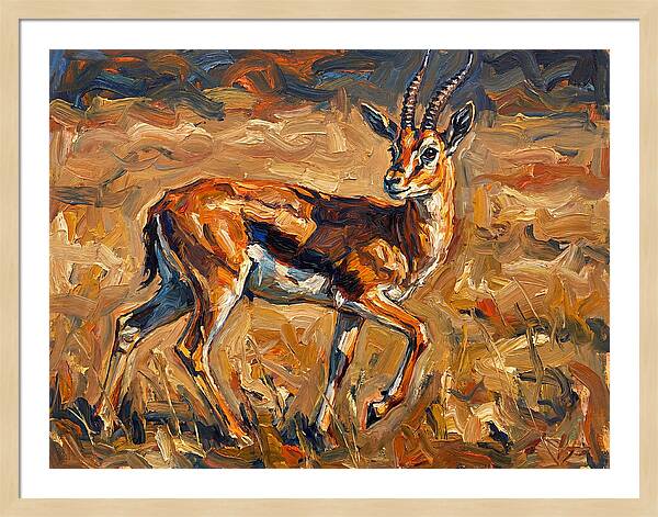 Thomson Gazelle In Motion