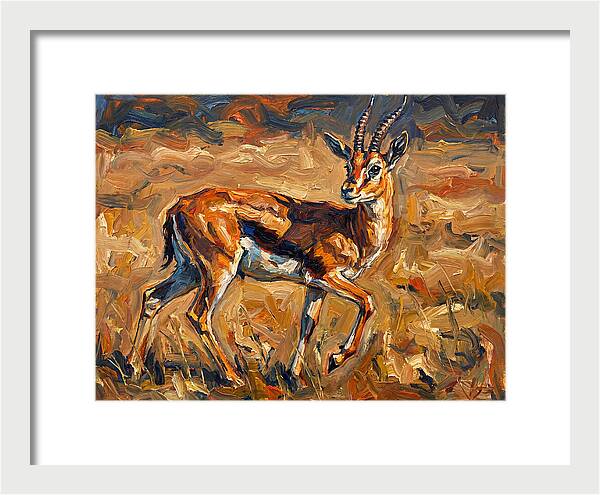 Thomson Gazelle In Motion