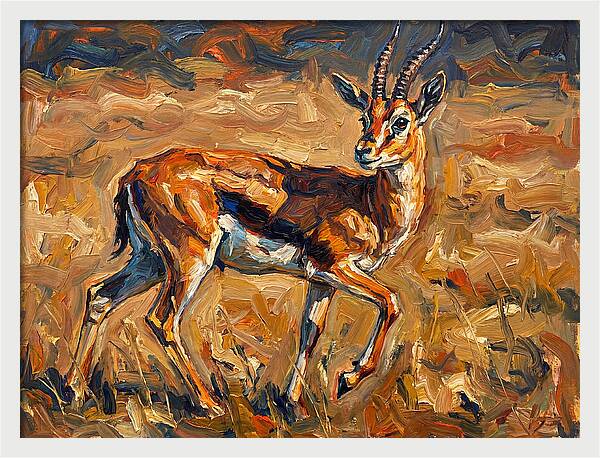 Thomson Gazelle In Motion