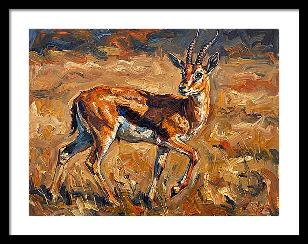 Thomson Gazelle In Motion