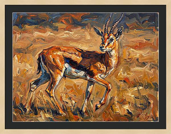 Thomson Gazelle In Motion