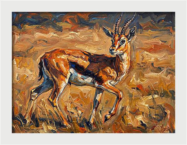 Thomson Gazelle In Motion