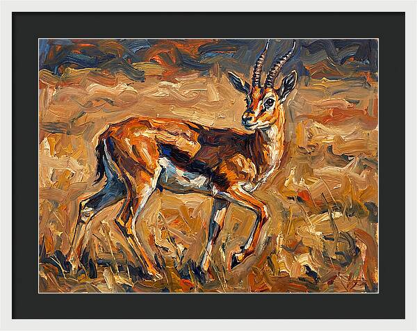 Thomson Gazelle In Motion