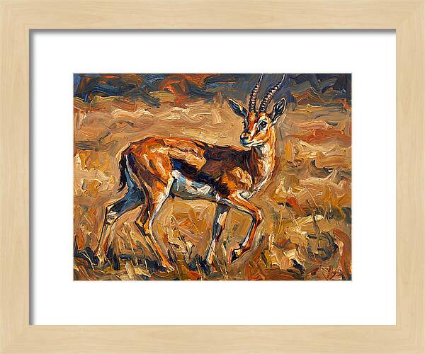 Thomson Gazelle In Motion