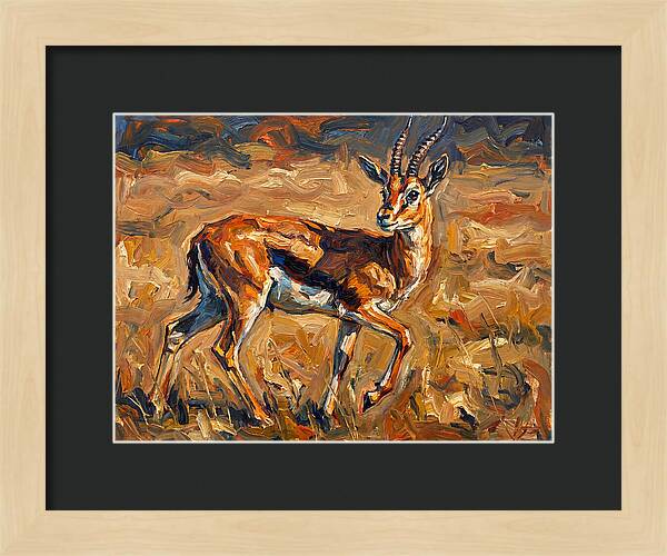 Thomson Gazelle In Motion