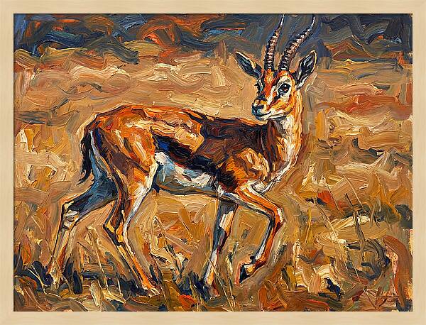 Thomson Gazelle In Motion