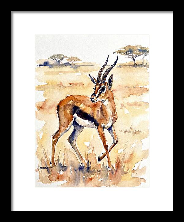 Thomson Gazelle In Watercolor