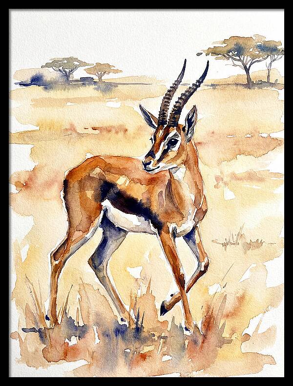 Thomson Gazelle In Watercolor