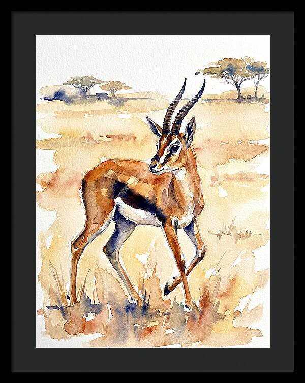 Thomson Gazelle In Watercolor