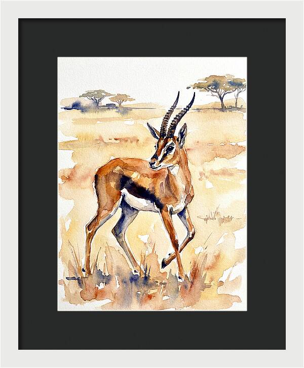 Thomson Gazelle In Watercolor