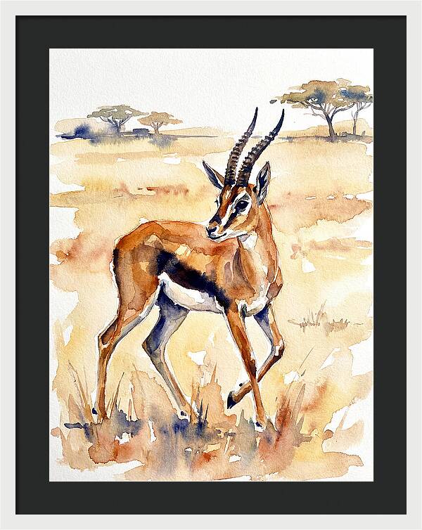 Thomson Gazelle In Watercolor
