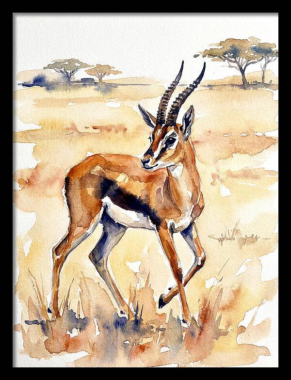 Thomson Gazelle In Watercolor