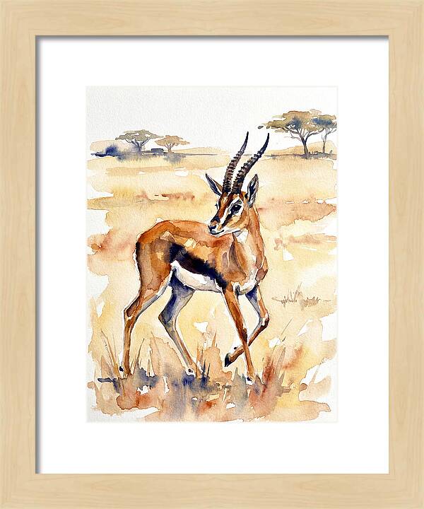 Thomson Gazelle In Watercolor