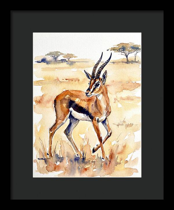 Thomson Gazelle In Watercolor