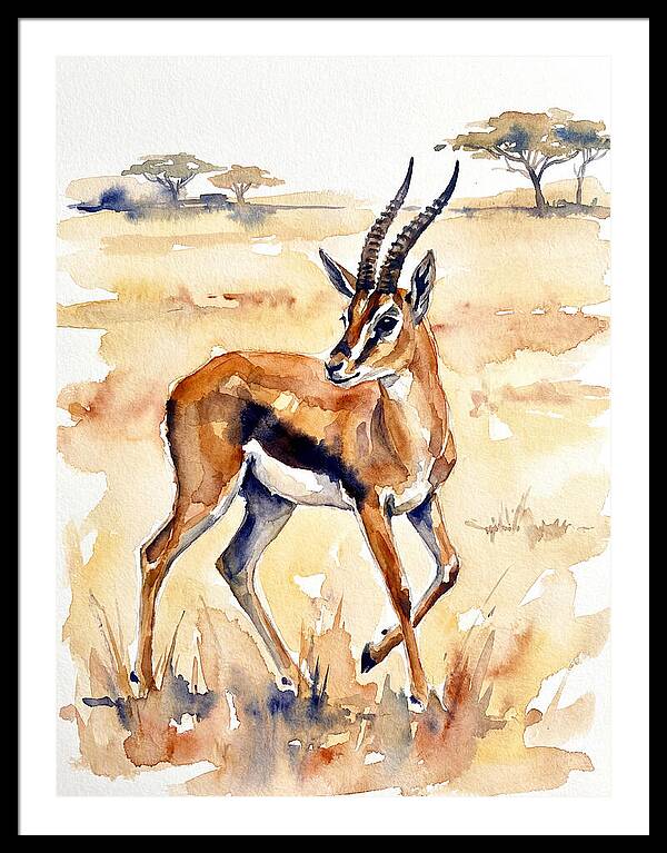 Thomson Gazelle In Watercolor
