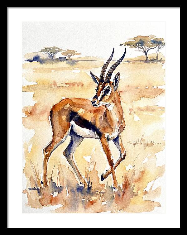 Thomson Gazelle In Watercolor