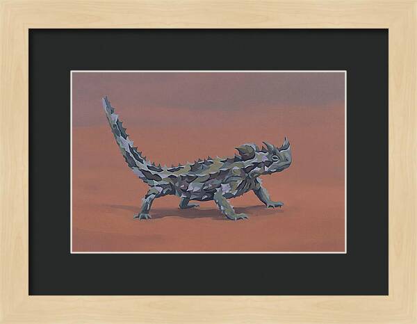 Thorny Devil Lizard In Desert Sand