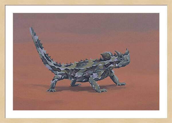 Thorny Devil Lizard In Desert Sand