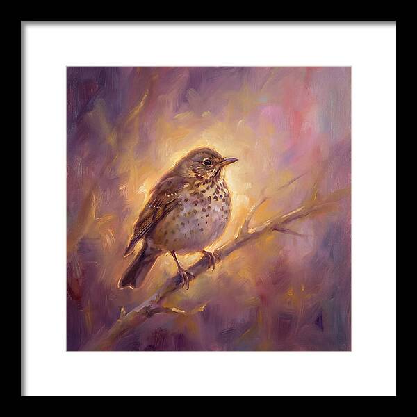 Thrush Perched