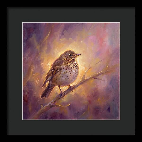 Thrush Perched