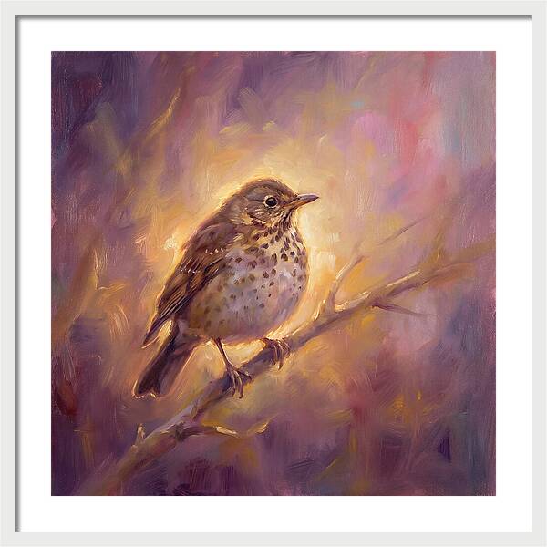 Thrush Perched
