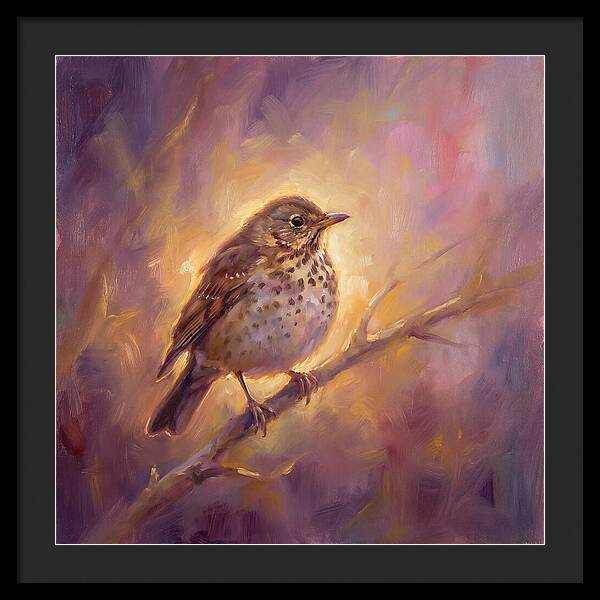 Thrush Perched