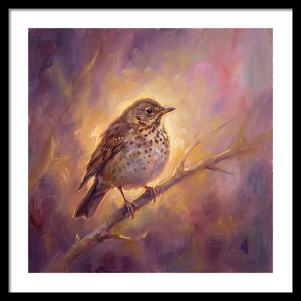 Thrush Perched