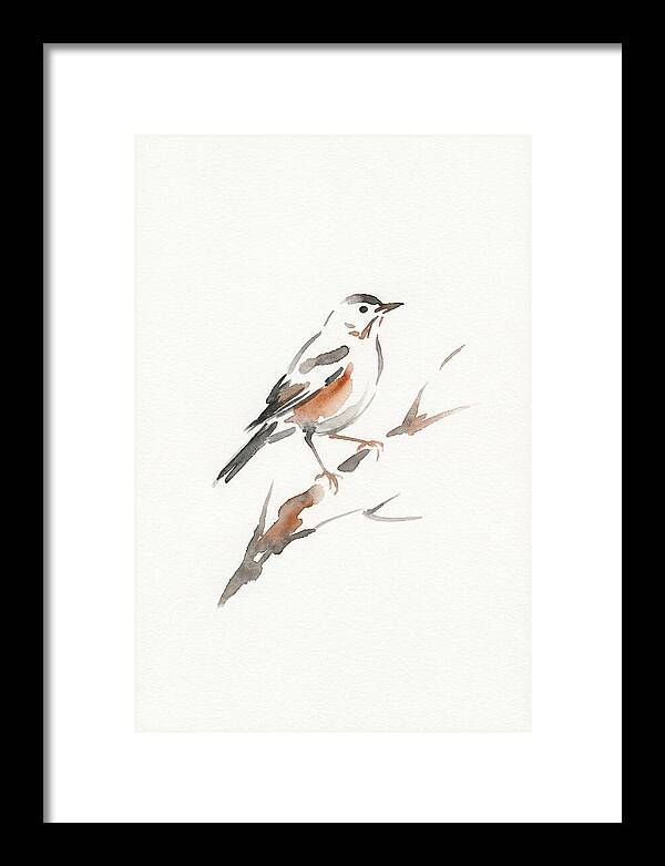 Thrush Perched Gracefully