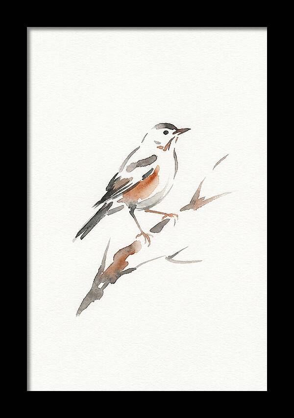 Thrush Perched Gracefully