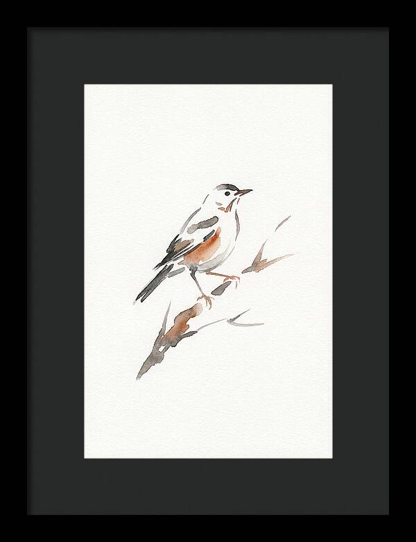 Thrush Perched Gracefully