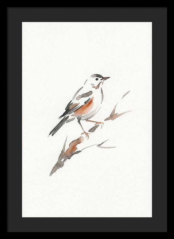 Thrush Perched Gracefully
