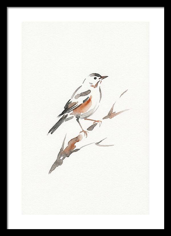 Thrush Perched Gracefully