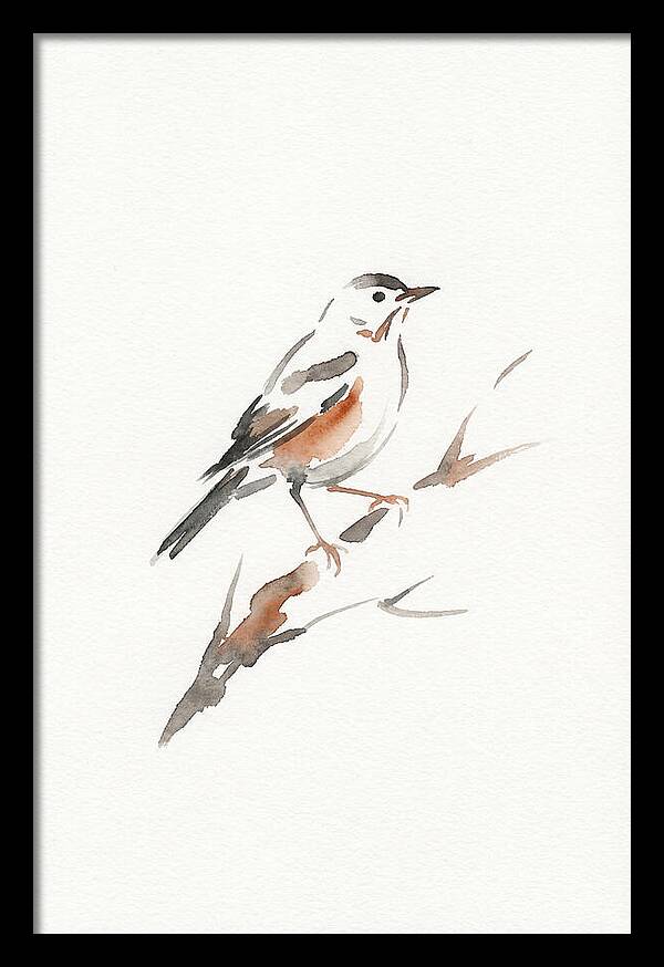 Thrush Perched Gracefully