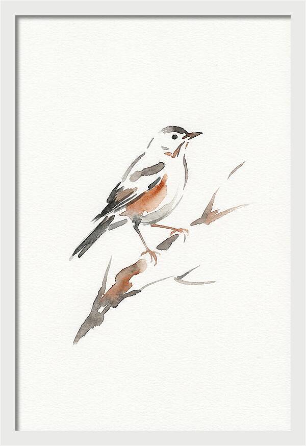 Thrush Perched Gracefully