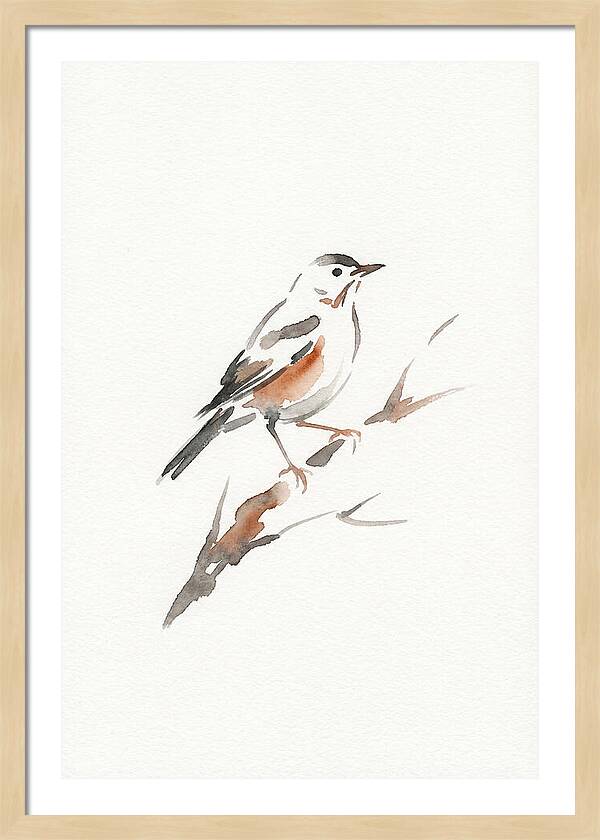 Thrush Perched Gracefully