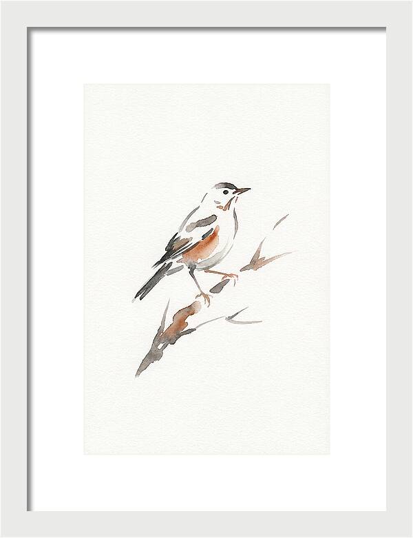 Thrush Perched Gracefully
