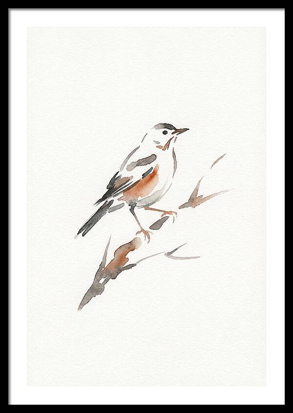 Thrush Perched Gracefully