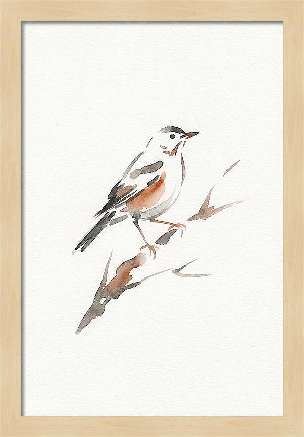 Thrush Perched Gracefully