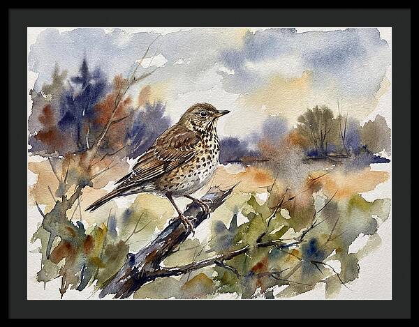Thrush Perched In Nature