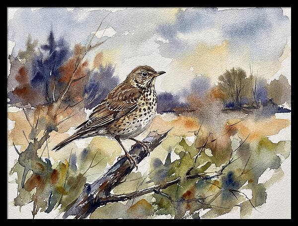 Thrush Perched In Nature