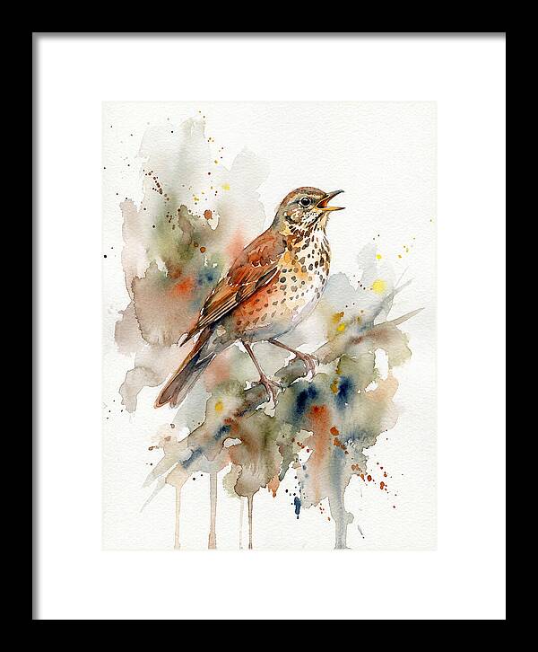 Thrush Singing In Watercolor