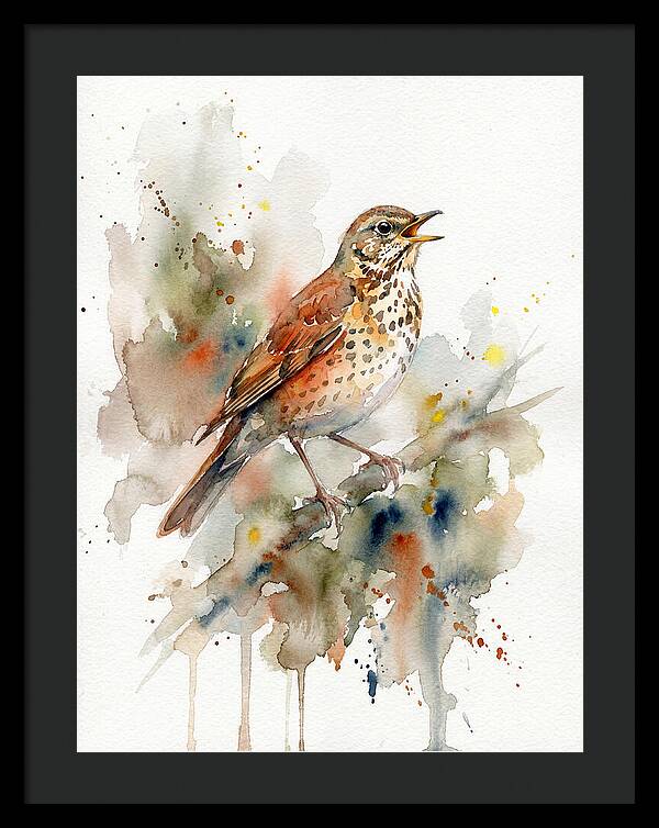 Thrush Singing In Watercolor