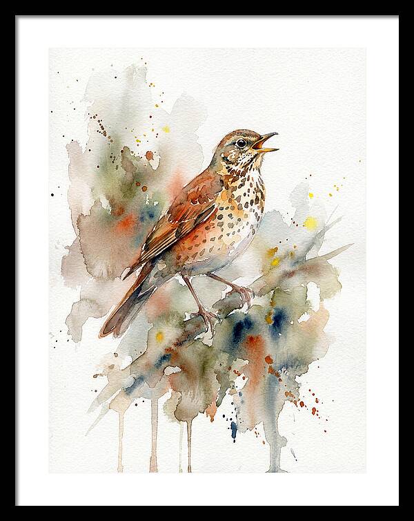 Thrush Singing In Watercolor