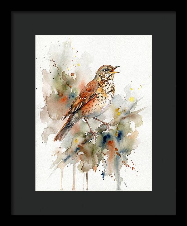Thrush Singing In Watercolor
