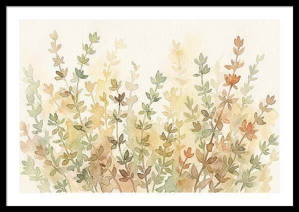 Thyme Tiny Leaves